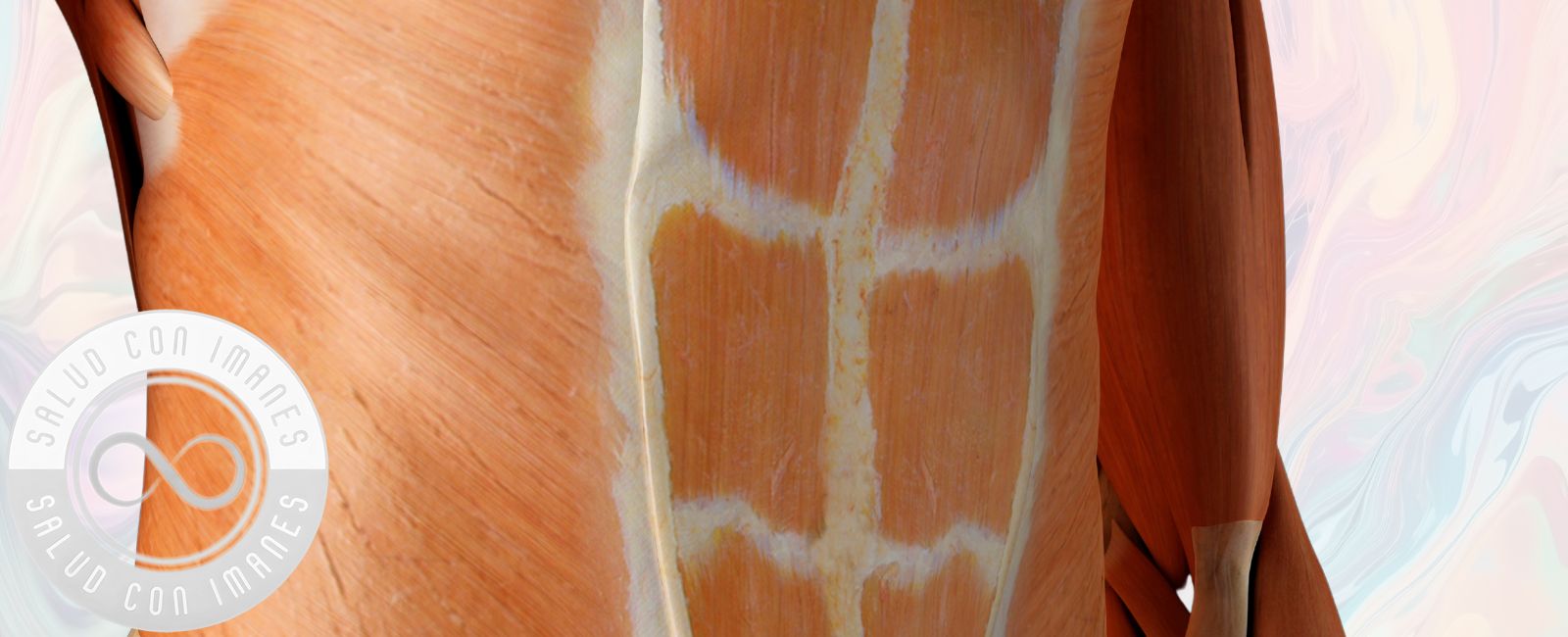 par biomagnetico gases sistema inmune