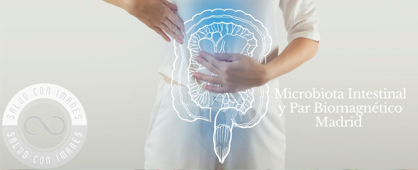Microbiota Intestinal y Par Biomagnético Madrid | 628 305 451