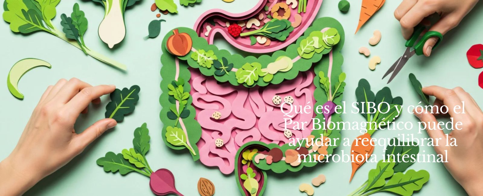 Qué es el SIBO y por qué cada vez se oye más hablar de él