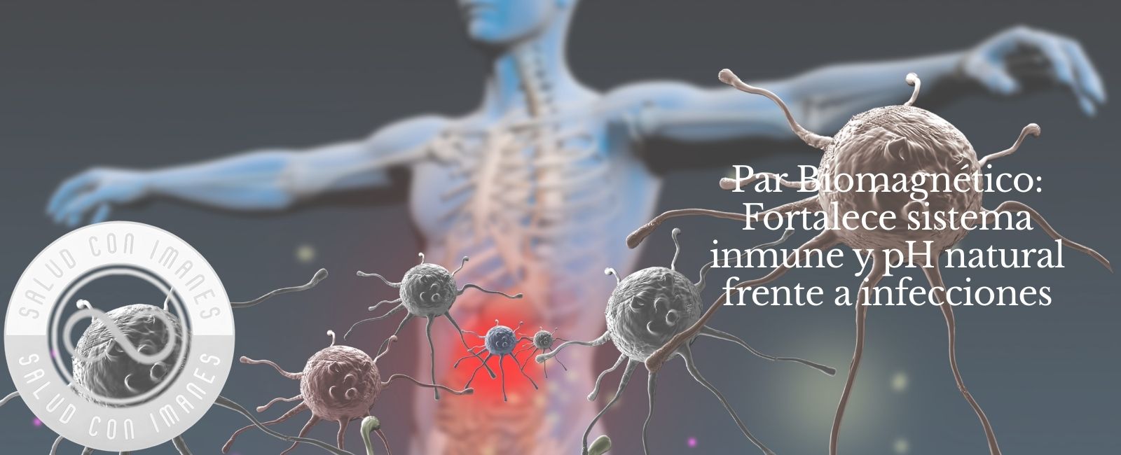 Par Biomagnético: Fortalece sistema inmune y pH natural frente a infecciones