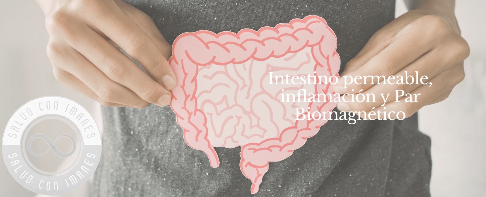 Intestino permeable, inflamación y Par Biomagnético